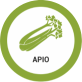apio